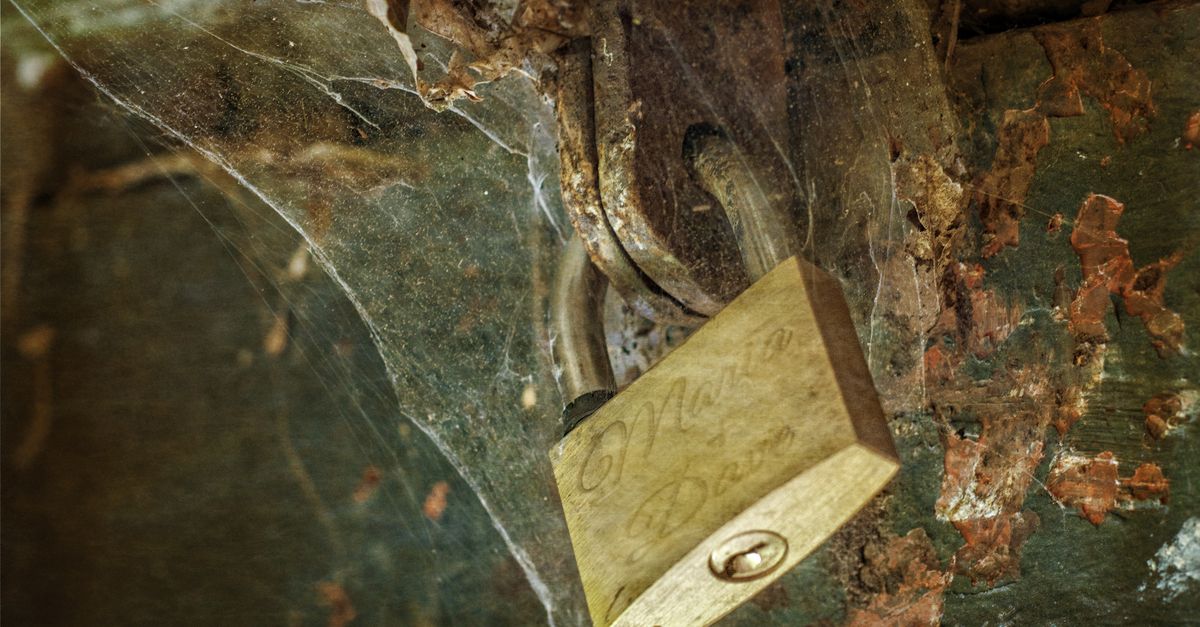 The Role of High-Security Locks in Risk Management for Businesses