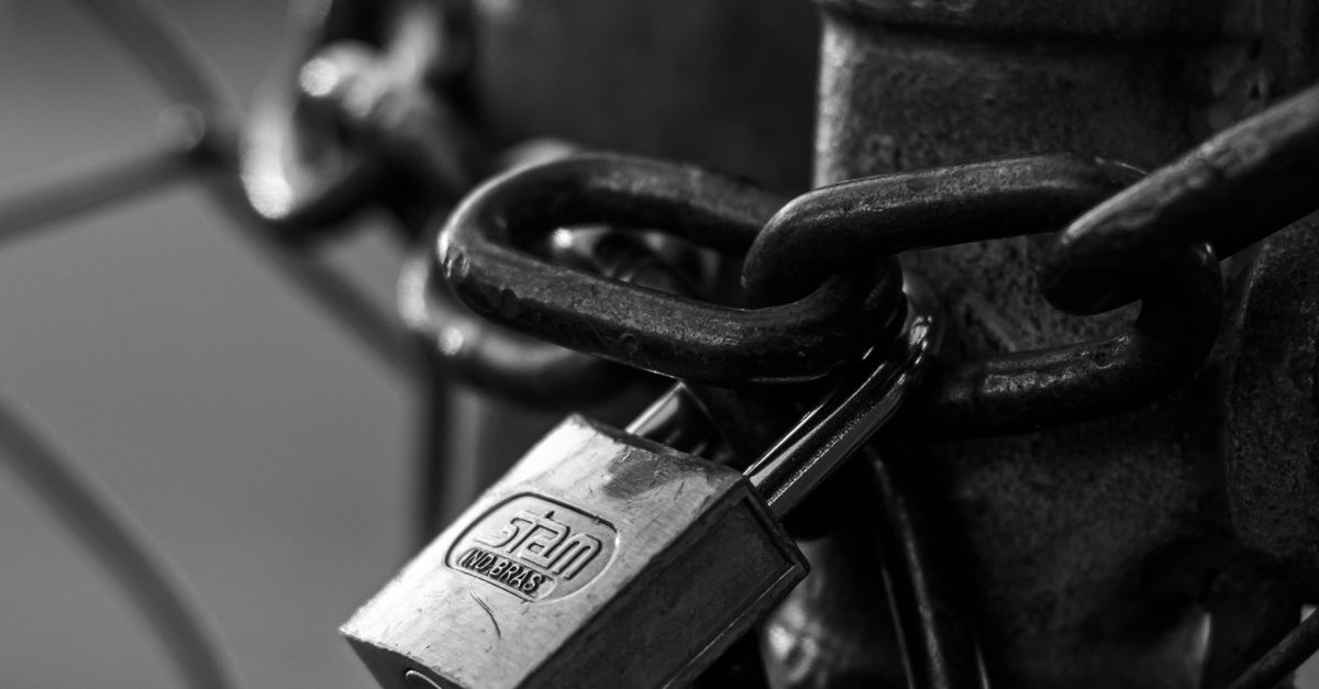Top Features of Professional Mobile Locksmith Solutions
